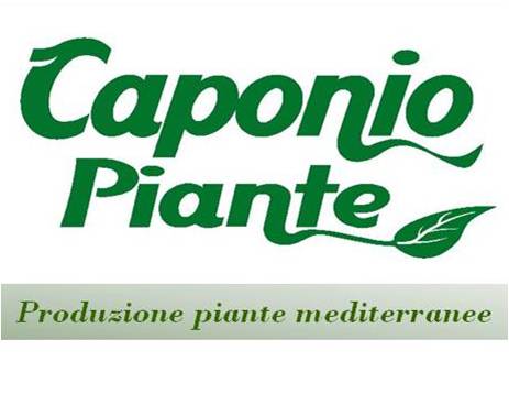 Caponio Piante