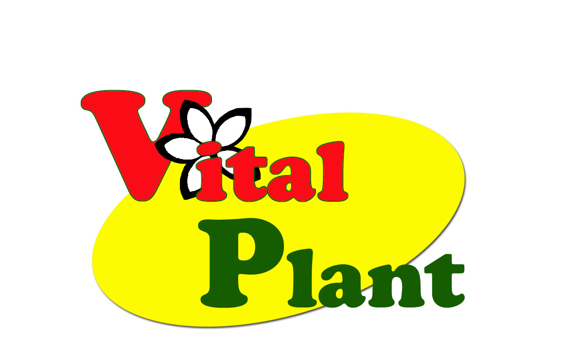 Nutriplant - Vital Plant