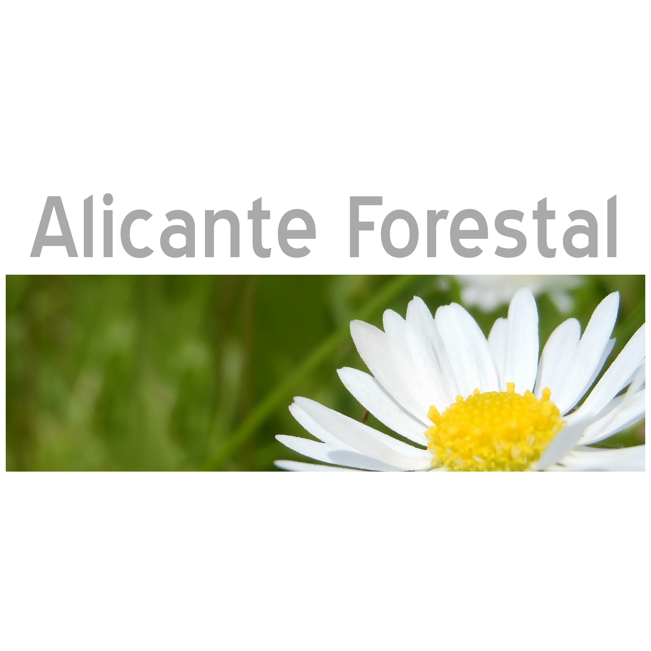 Alicante Forestal