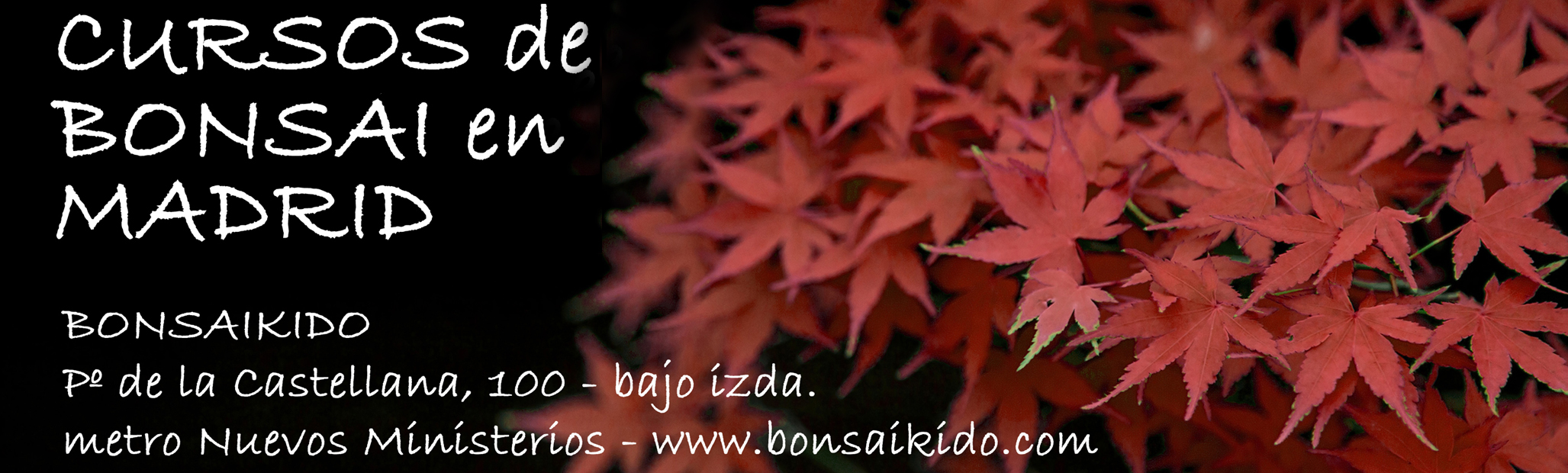 BONSAIKIDO, escuela de bonsái y artes zen  
