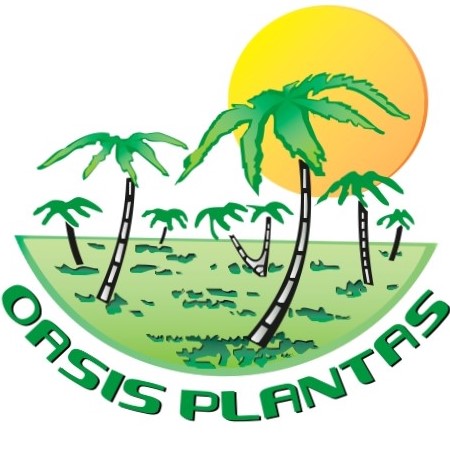 Oásis Plantas 