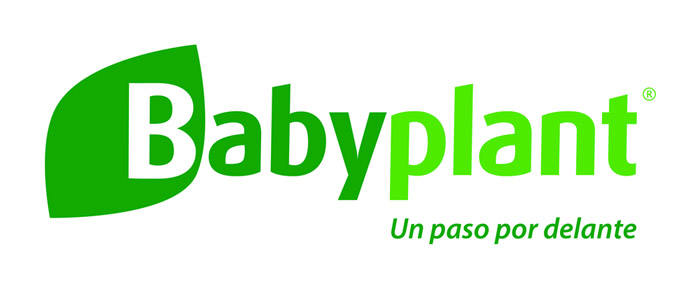 Babyplant