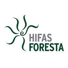 Hifas Foresta