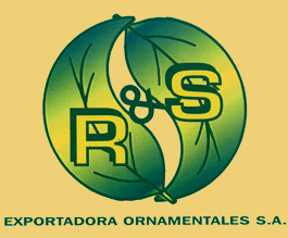 Exportadora R&S Ornamentales 