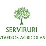 Serviruri