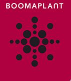 Boomaplant