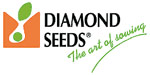 Diamond Seeds