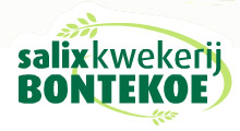 Salixkwekerij Bontekoe