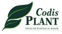 Codisplant