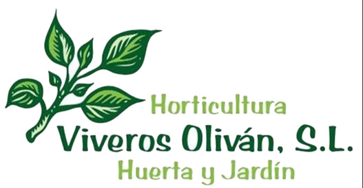 Viveros Olivan