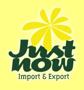 Just Now Import & Export