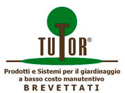 Tutor International