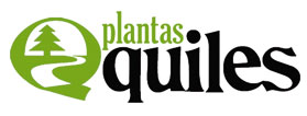Plantas Quiles