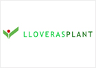 Lloveras Plant