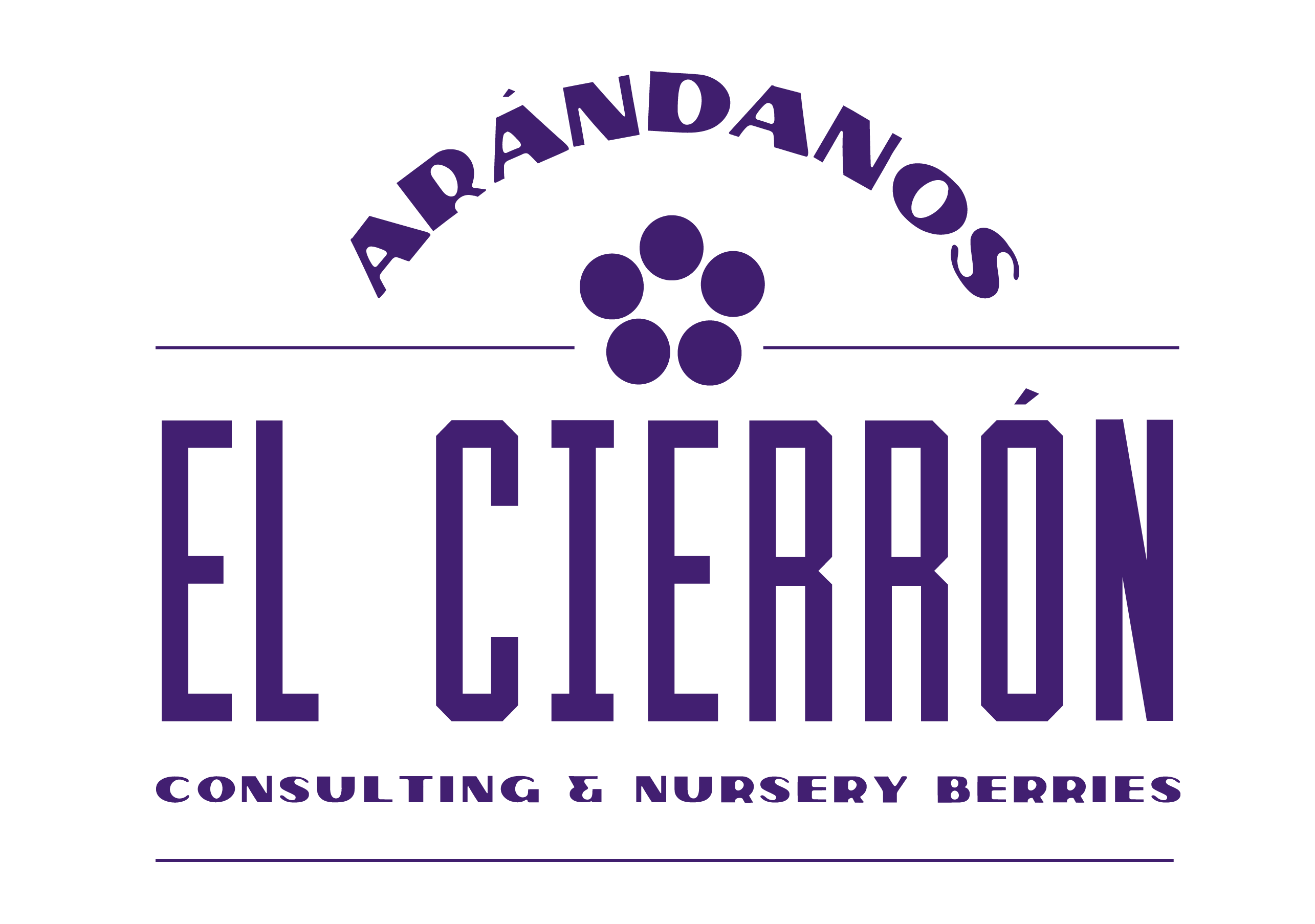 Arándanos El Cierrón