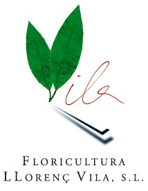 Floricultura Llorenç Vila