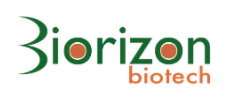 Biorizon Biotech