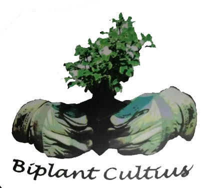 Biplant Cultius