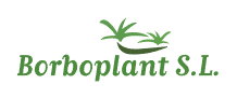 Borboplant