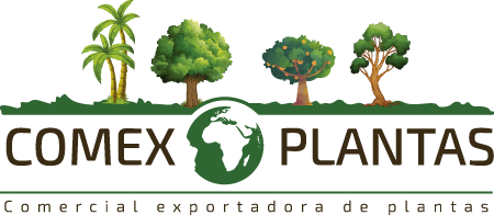 Comex Plantas