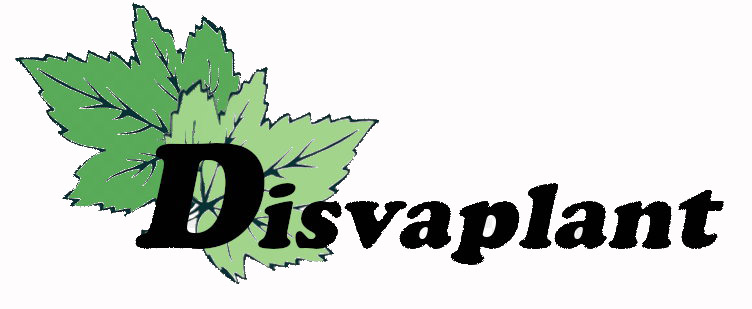 Disvaplant