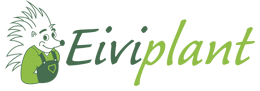 Eiviplant 