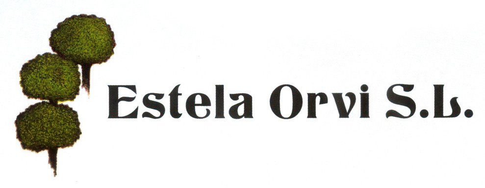 Estela Orvi