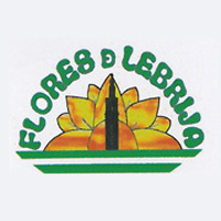 Flores de Lebrija