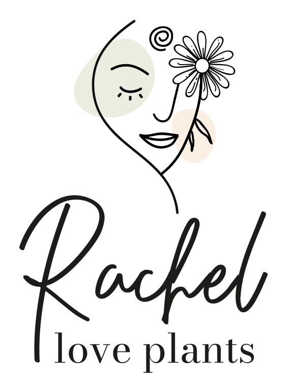 Rachel&Co