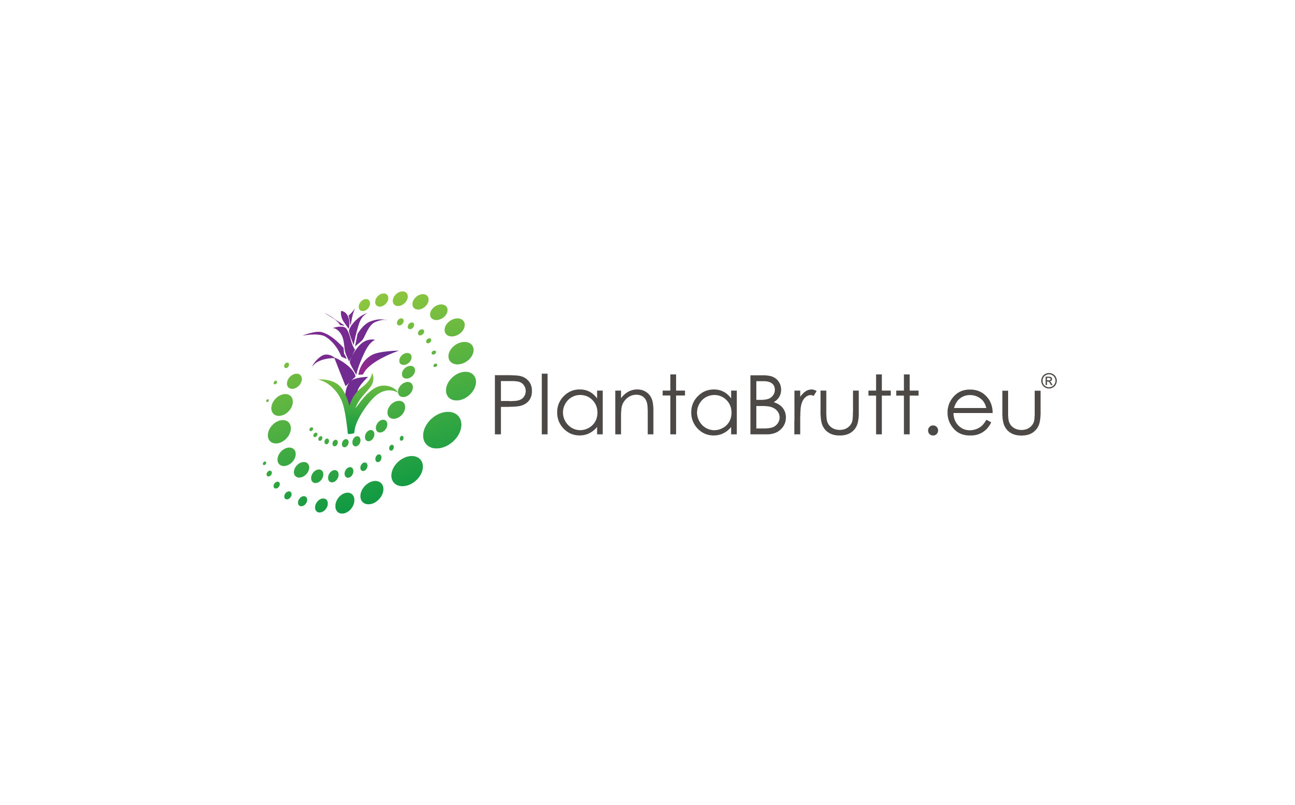 Planta Brutt