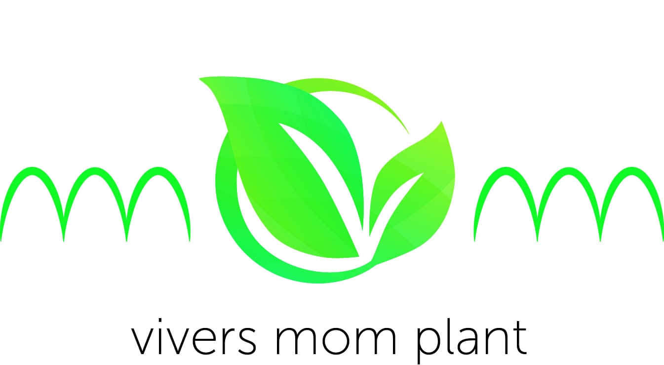 Vivers Mom Plant