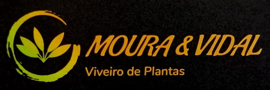 Moura & Vidal