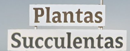 Plantas Succulentas
