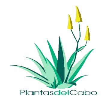 Plantas del Cabo