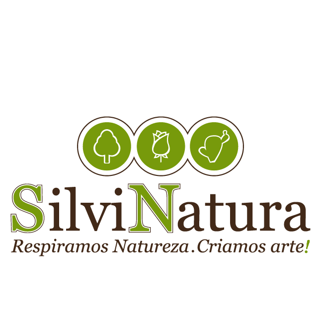 Silvinatura