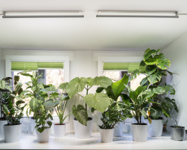 Medidor de humedad para plantas SusTee Verde S - Digebis
