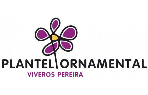Plantel Ornamental - Viveros Pereira