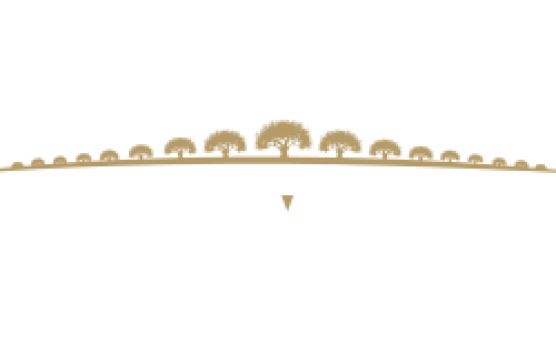 Land'Oliv