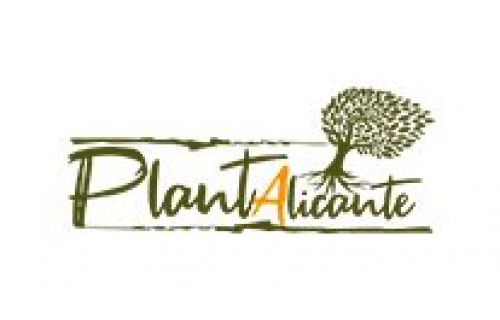 Plant Alicante