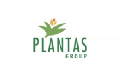 Plantas Group