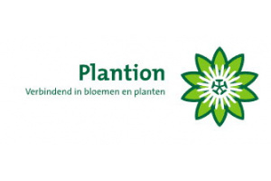 Plantion