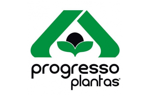 Progresso Plantas