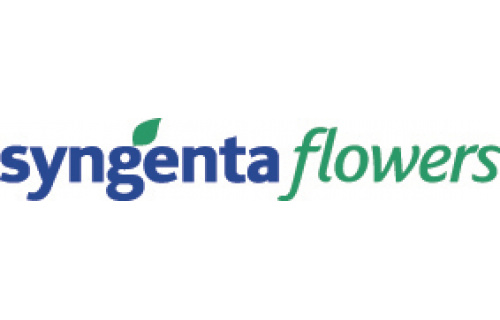 Syngenta Flowers
