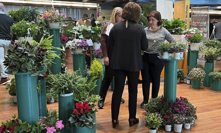 ALIAT celebra su 11ª Feria Interna en Murcia