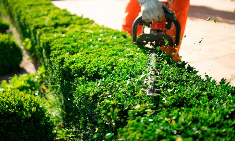 conveniocolectivojardineria_06112025130703