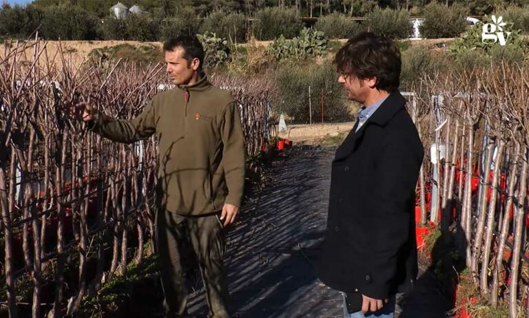 fitoralia_vivero_12112025132437