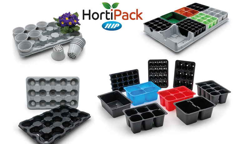 ILIP_SUCULENTAS_HORTIPACK