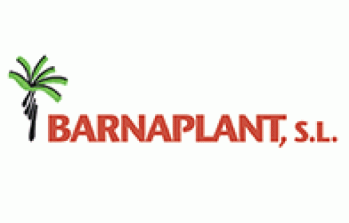 Barnaplant