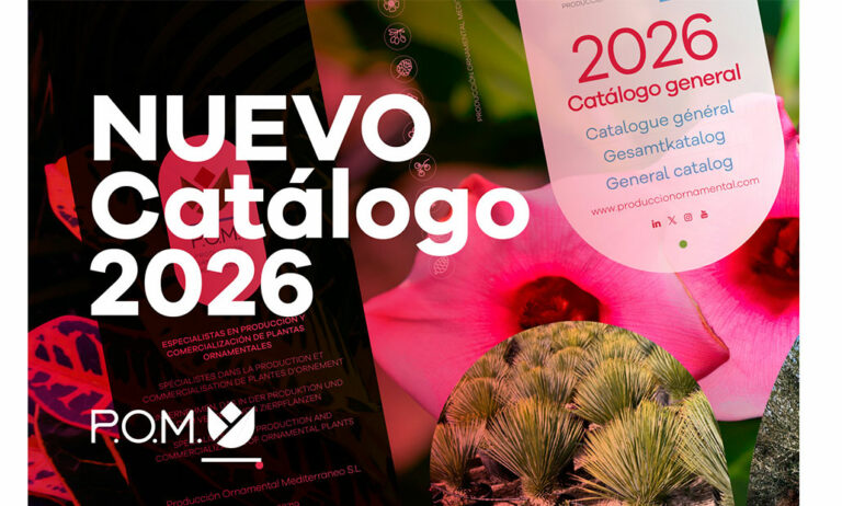 catalogo_pom_26_20012026135547