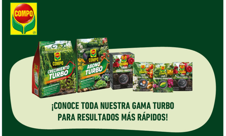 compo_gama_turbo_13022026110200